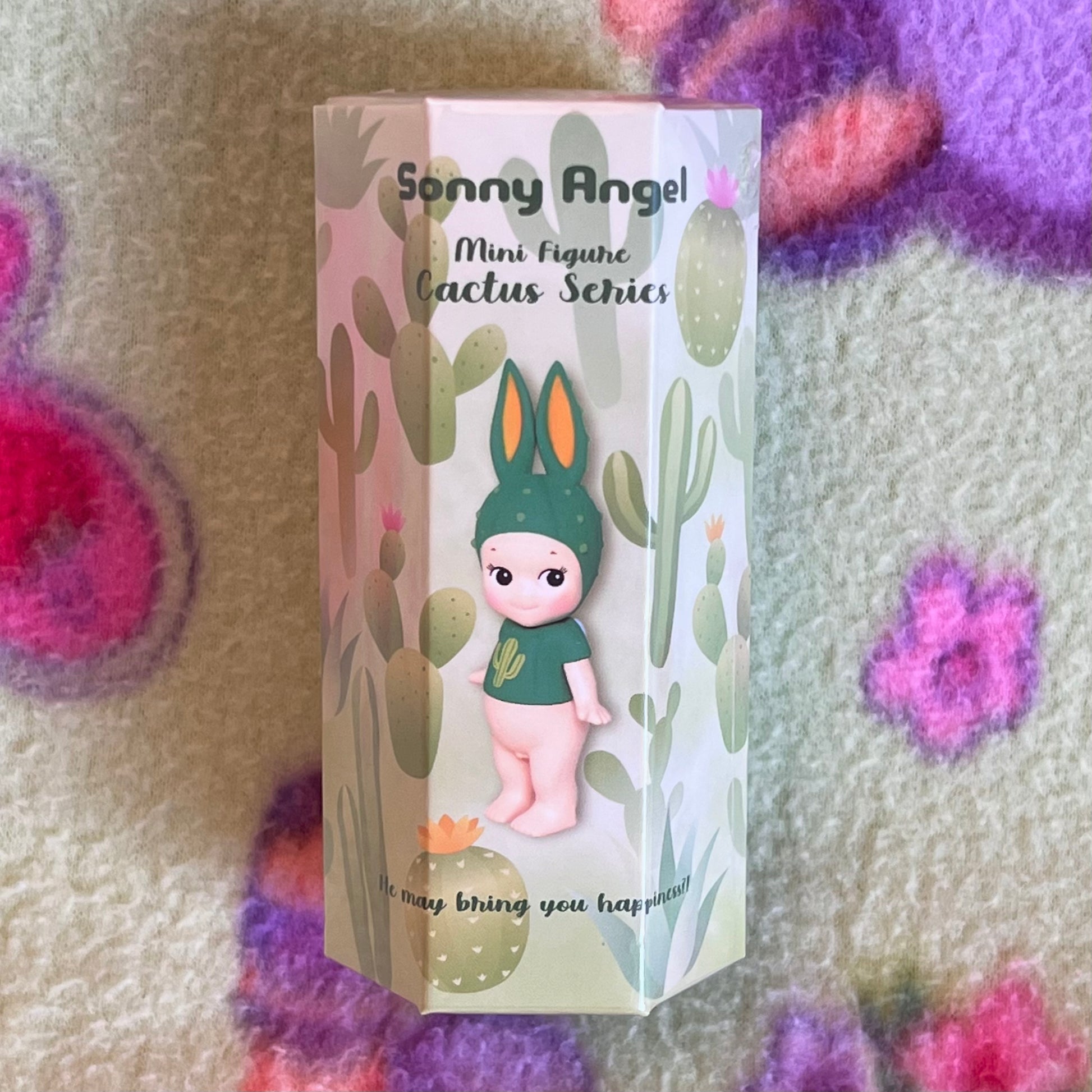 Sonny Angel Cactus Series Blind Box – Clover's Wonderland