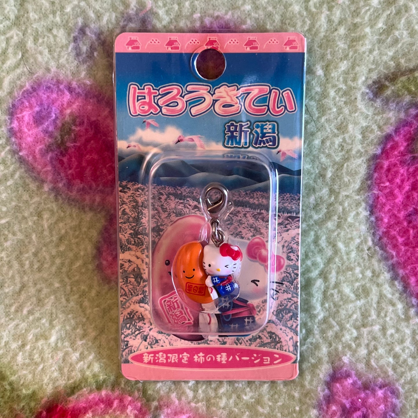 Hello Kitty Holding Orange Bean Gotochi Phone Charm